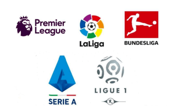 仅展示了球 仅展示了球